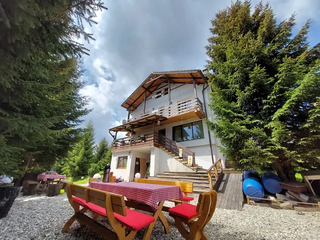 Two Brothers Concept