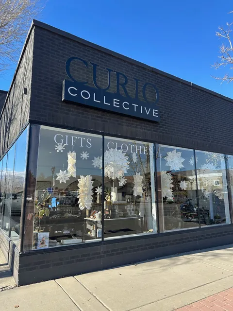 Curio Collective