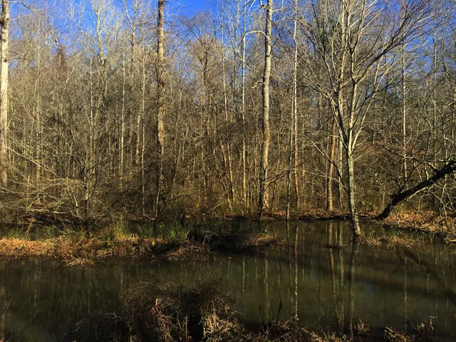 Lucille Creek Trail parking