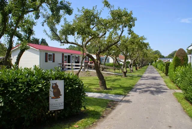 Camping in de Bongerd