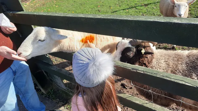 Stonebridge City Farm & Gardens