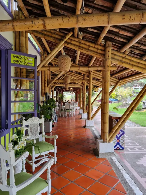 Donde Juan B Bosques de Cocora Valle De cocora