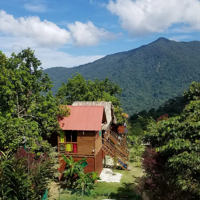 Miradores del oso perezoso