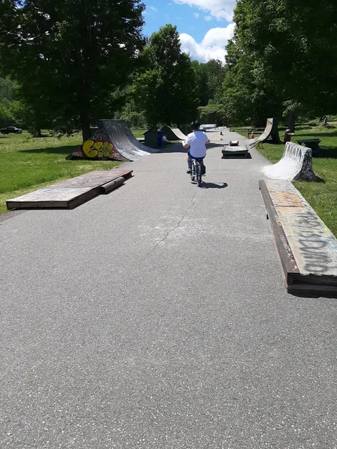 Johnson Skatepark