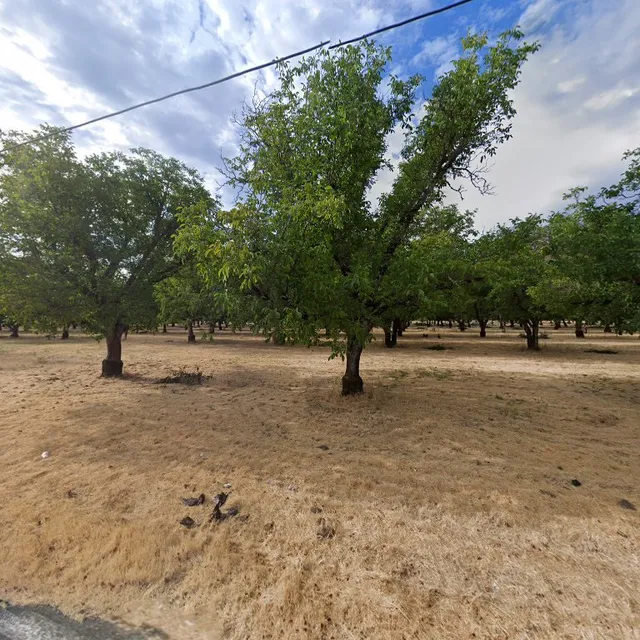 Kendall-Jackson Vineyard Ltd