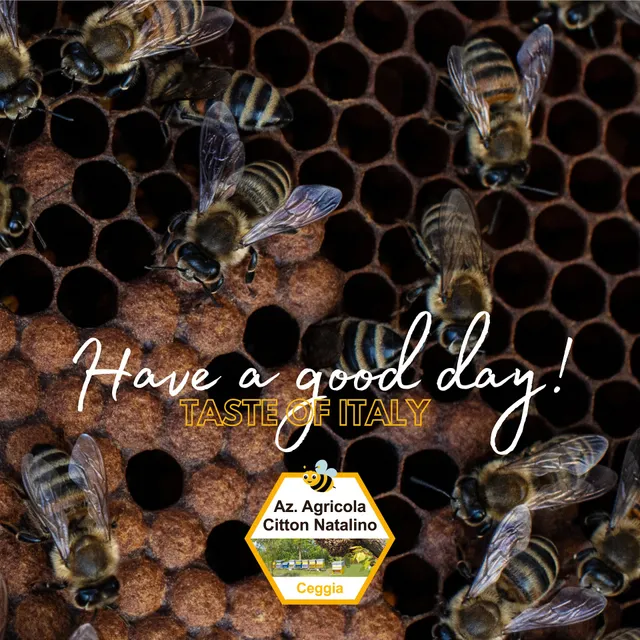 Azienda Agrituristica Biologica Citton Natalino