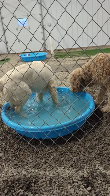 Oakley's Sit and Stay Resort