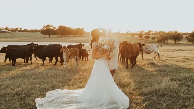 Rockin’ Star Ranch