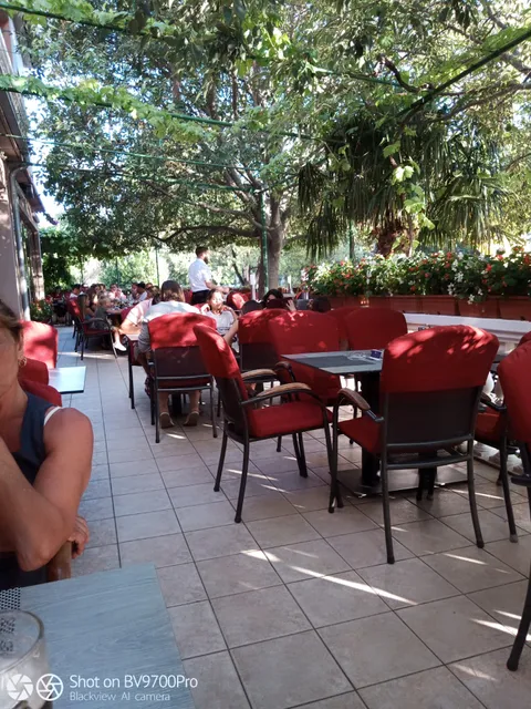 Guest House Podgorje