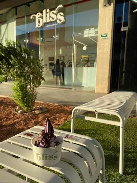 Bliss Frozen Yogurt