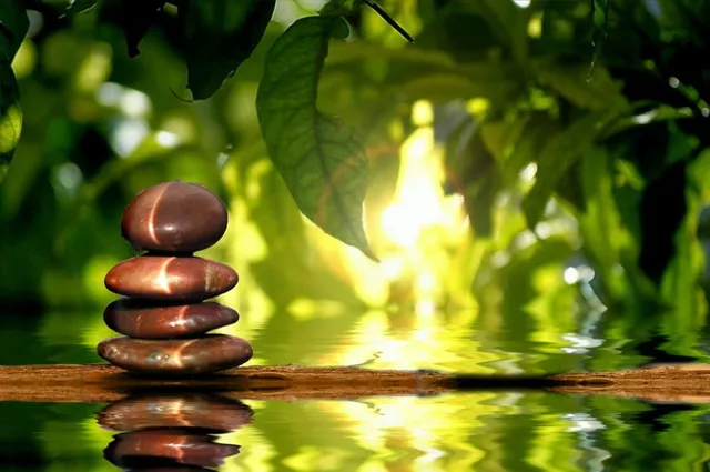 PURE Holistic Wellness Center