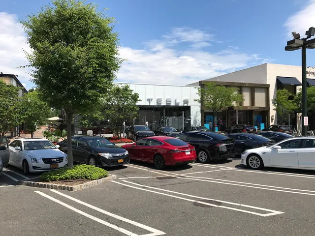 Tesla Americana Manhasset