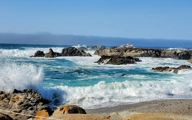 Heart Shaped Rock-Love Rock