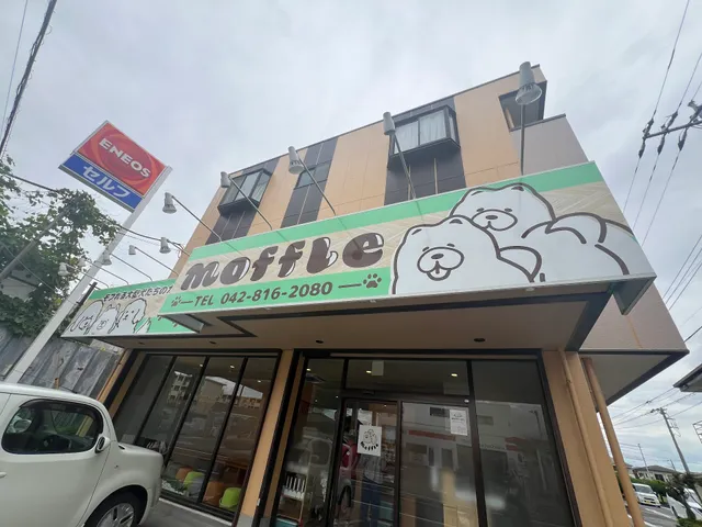 モフれる大型犬たちのカフェ moffle 相模原店