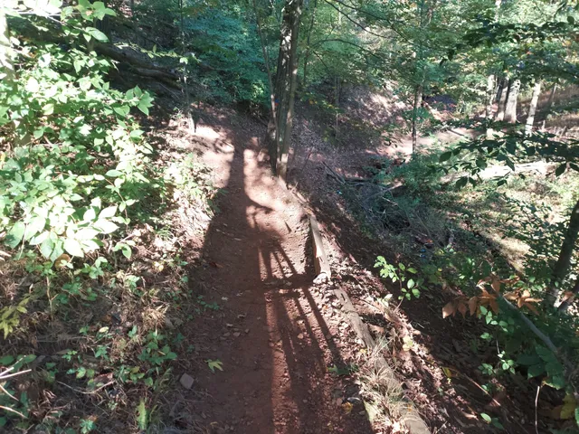 Rutgers Eco Preserve Trailhead