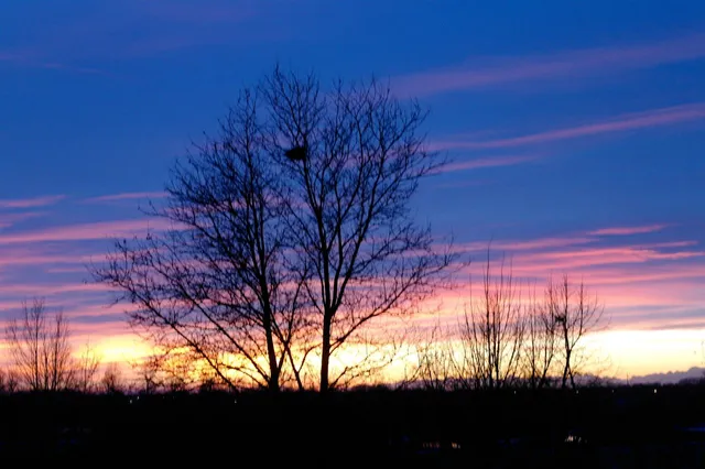 milano canal apartments