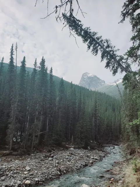 Ribbon Falls Trailhead