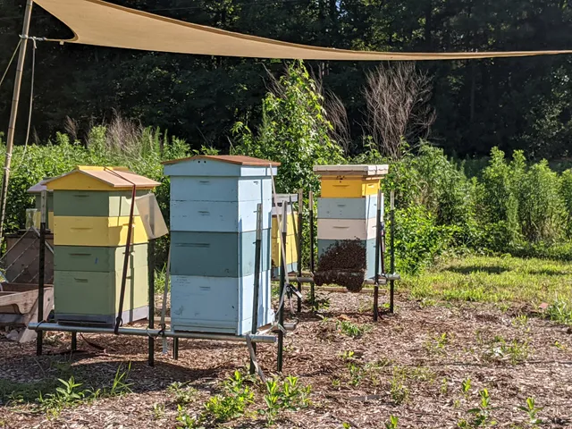 Williamsburg Community Growers