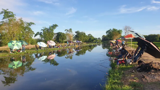 บ่อตกปลาสวนไผ่ ฟิชชิ่ง