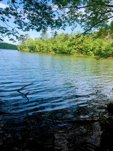 Burke Lake Park Shelter B