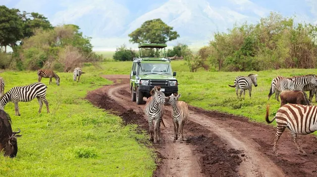 Foot Slopes Tours and Safaris | Dream luxury African safaris | Tanzania safari tours | best safari company in Tanzania