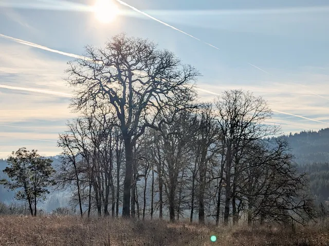 Willamette University at Zena