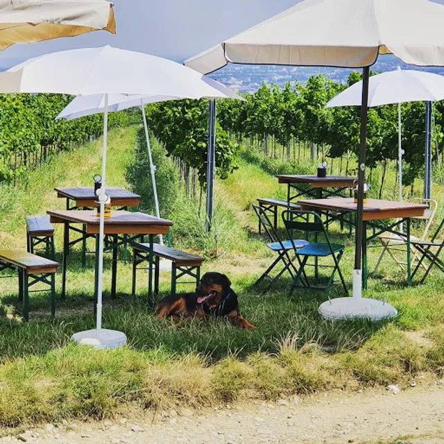 Monte Nucum Buschenschank