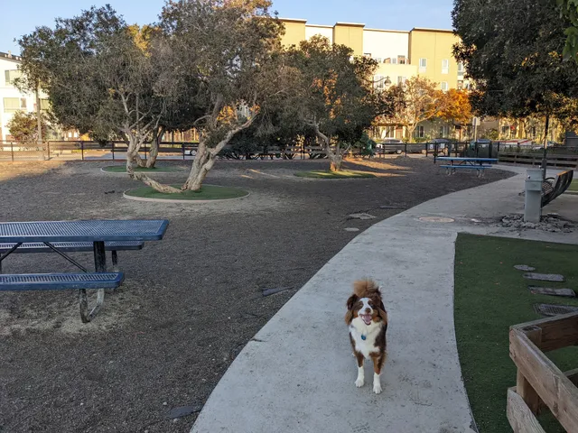 Mission Creek Dog Park