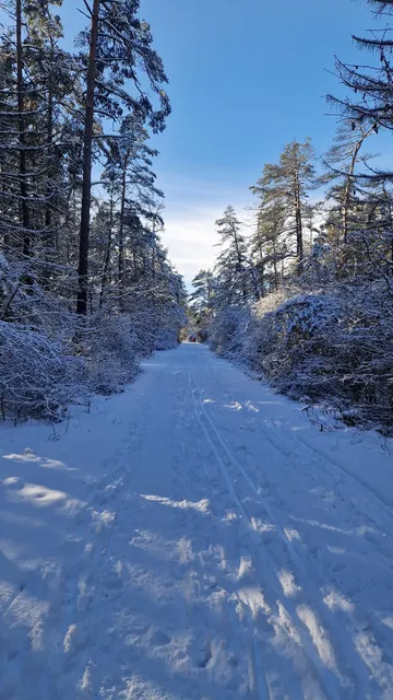 Ferienwohnung "Rennsteigblick"