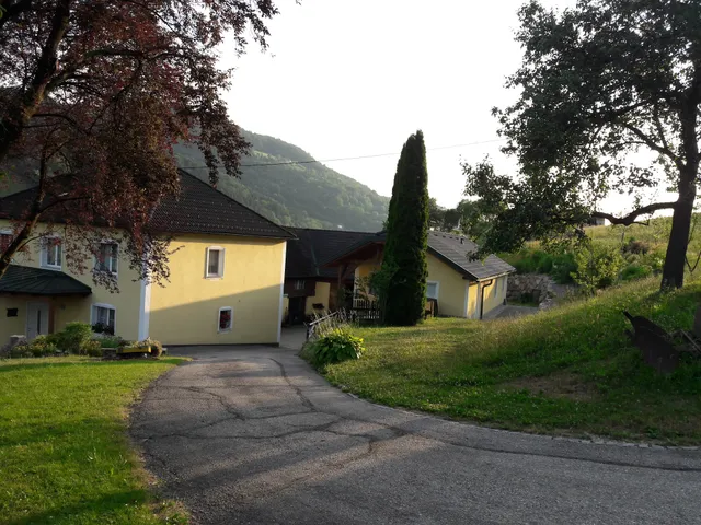 Ferienhof Wörthbauer Fam Wegerer