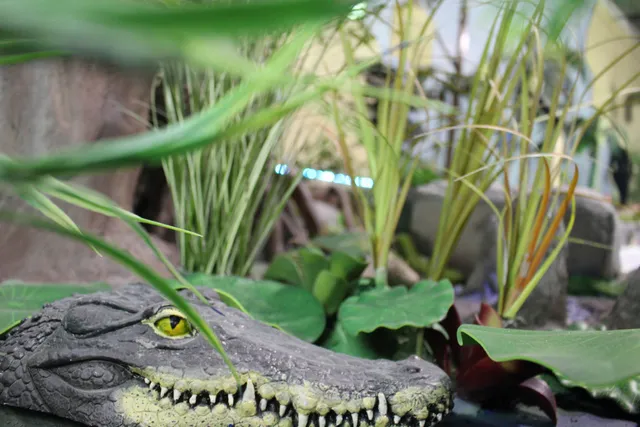 Nature's Adventure Center/ Aquarium