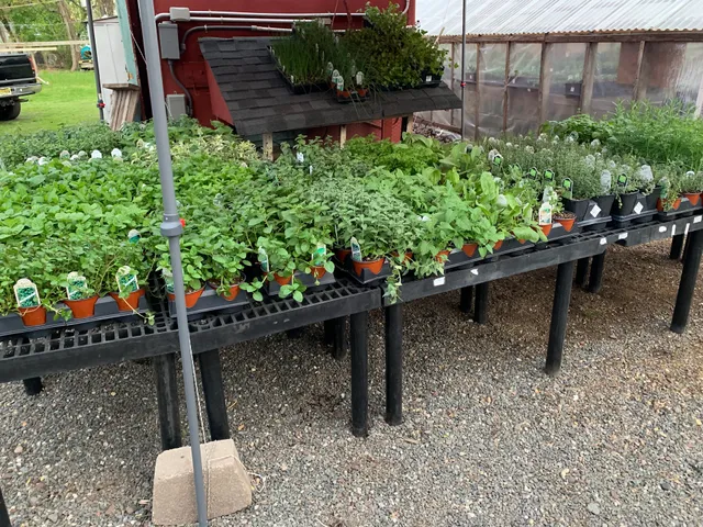 John and Joan Roadstand