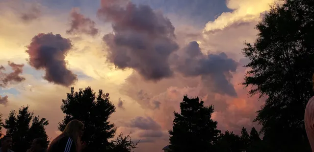 Smyrna Jonquil Festival