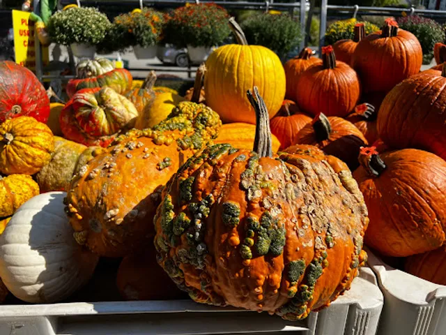 Farms View Roadstand