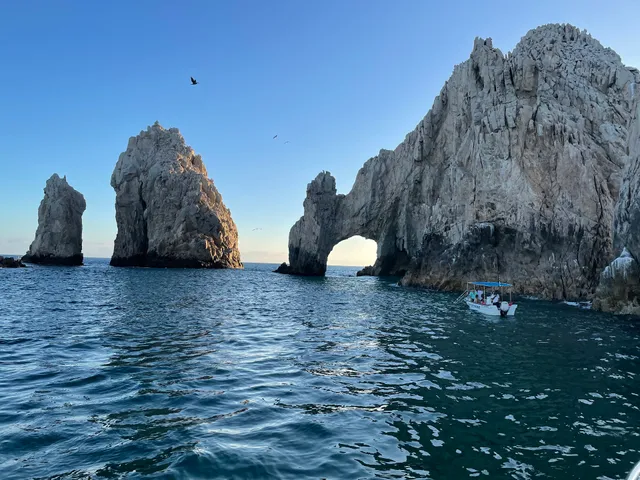Reserva de Lobos Marinos