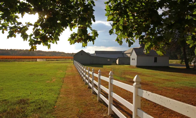 Pitney Meadows Community Farm