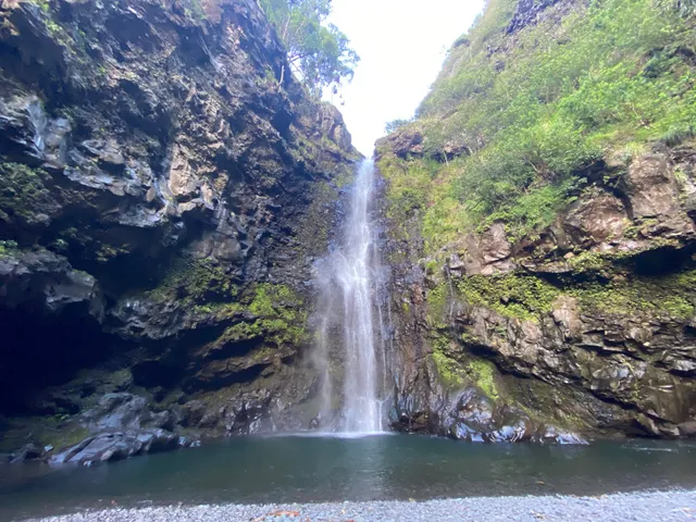 The Magic of Maui Experience