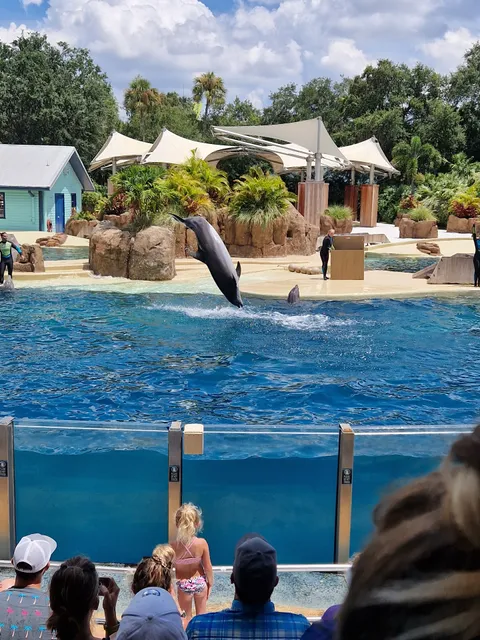 SeaWorld Rescue Center