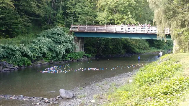 Abel Mountain Campground