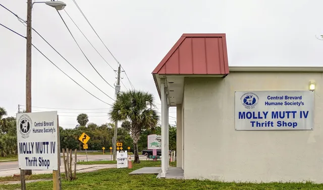 Molly Mutt IV Thrift Shop