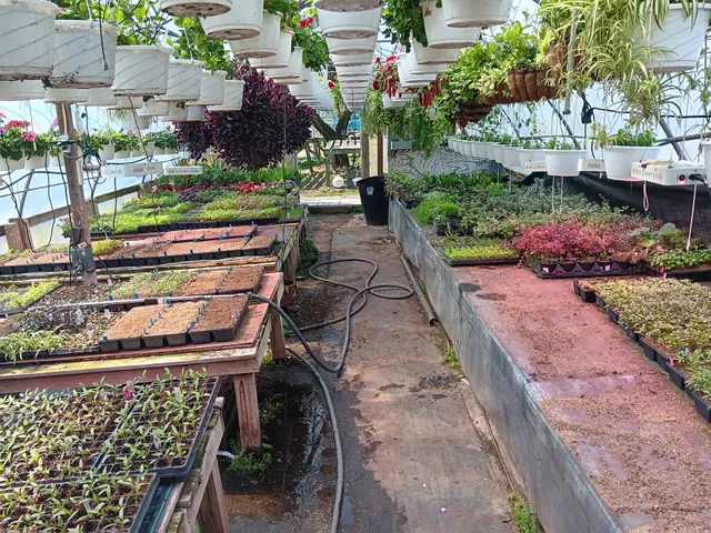 Laughlin Family Farm