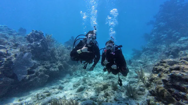 Captain's Corner Dive Center
