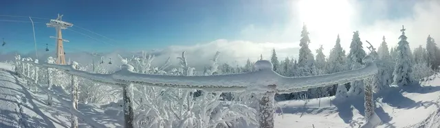 Ferienhaus Kaufmanns Cafe