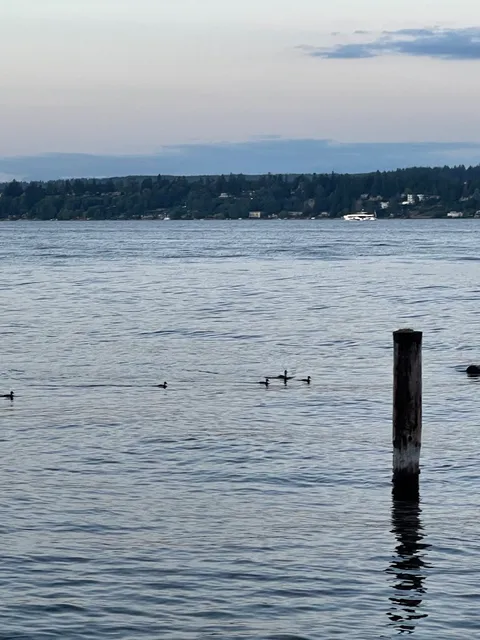 Seward Park North Beach