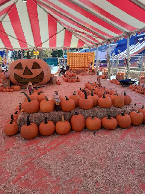 The Robles Pumpkin Patch & Robles Christmas Tree Farm