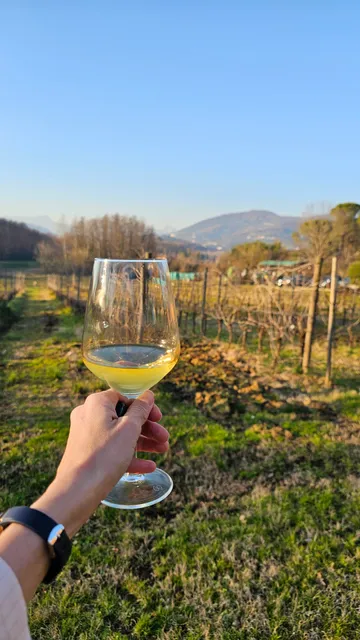 Fattoria Sardi Giustiniani