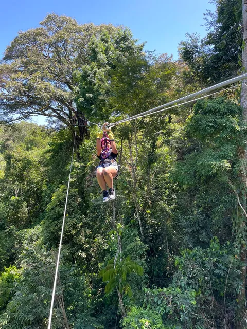 Sukia Park and ZIP LINE Tours