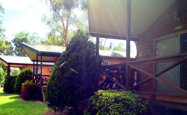 Apex Riverside Tourist Park