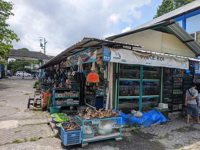 Satwa and Tanaman Hias Market Yogyakarta