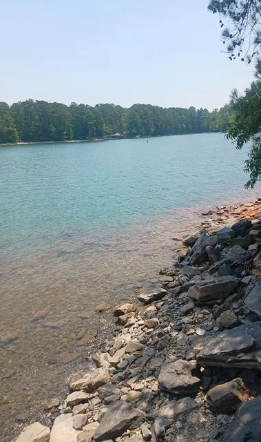 Lake Lanier Beach with shady swing